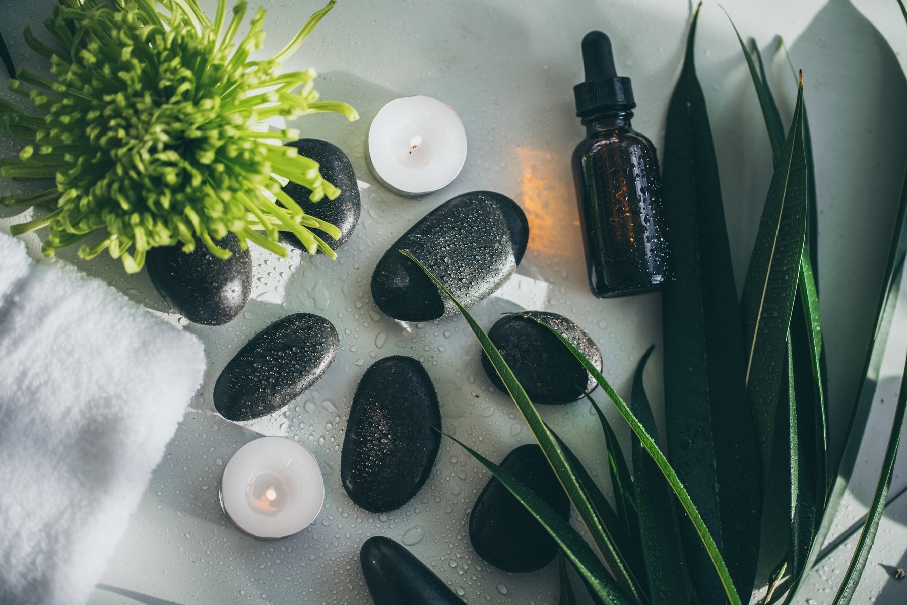 2025 Luxury Spa Trends: What’s New in Wellness & Relaxation